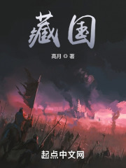 藏国高月小说免费