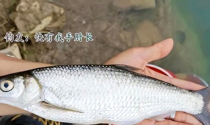 知乎“白条套现”：风险与可行性