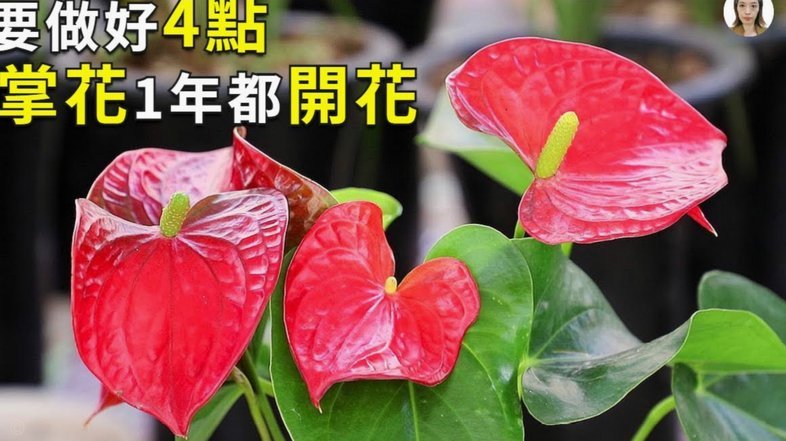 信用卡如何安全套现