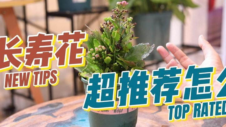 花费怎么套现