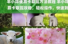 羊小咩便荔卡便捷取现服务解析