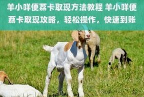 羊小咩便荔卡取现