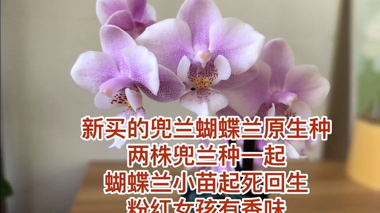 携程拿去花额度使用攻略与取消退款指南