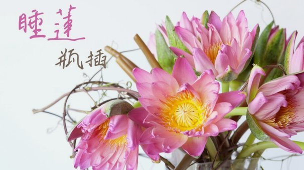 花呗分期套现平台 现金还款可靠吗