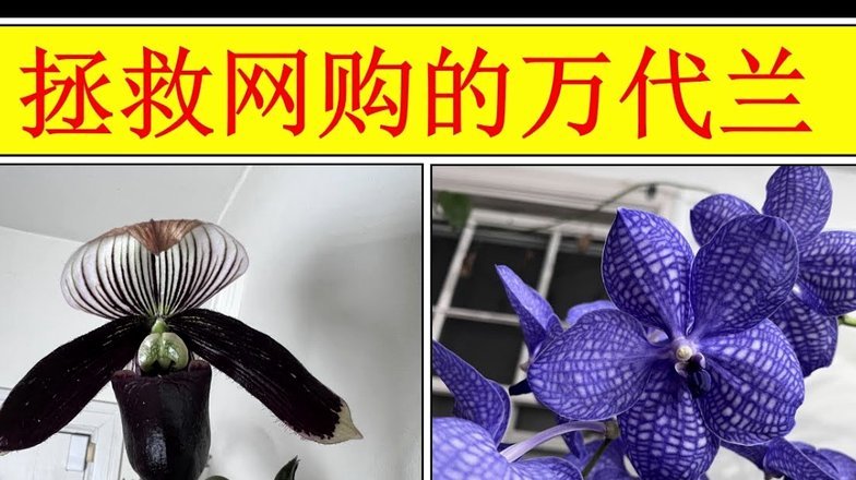 花呗转微信：风控下的变现攻略