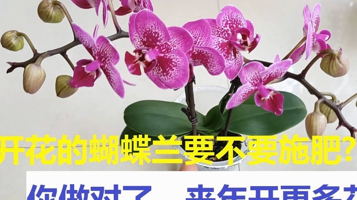 套现花呗平台 套现可以吗安全吗