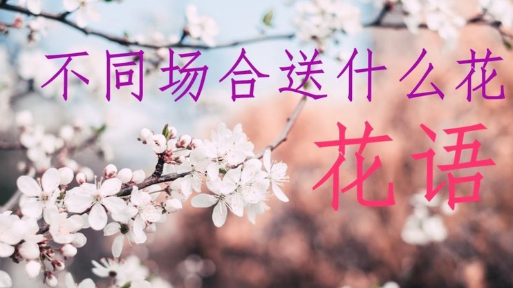 花呗转现平台有哪些软件