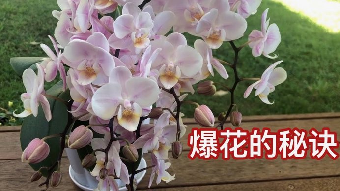 携程“拿去花”：现金问题如何解决？