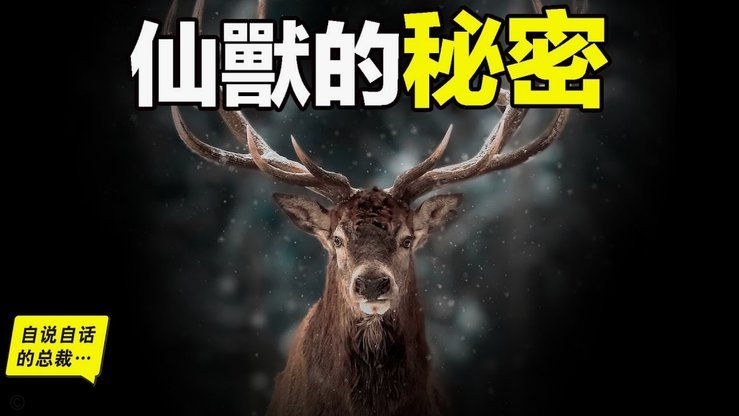 鹿优选备用金放款中多久到账