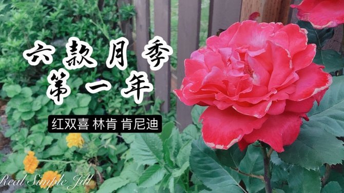 花呗月月付买东西全攻略：新手也能用明白