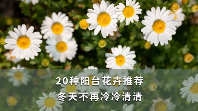 花呗额度提取方法