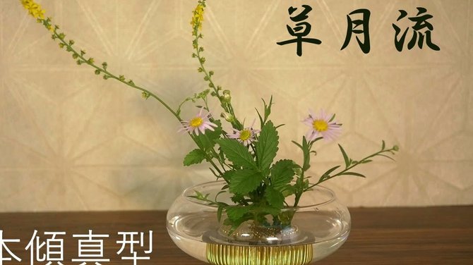 花呗怎么套现出来到支付宝