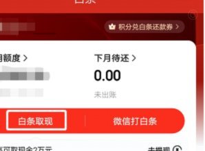 京东白条怎么样提现金