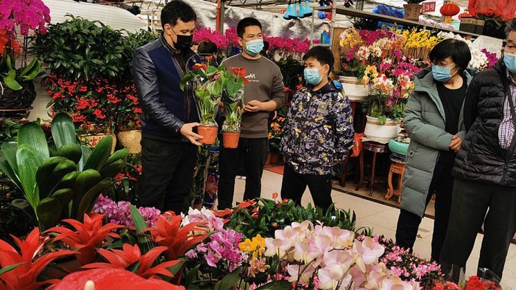 花呗帮别人套现会影响征信吗