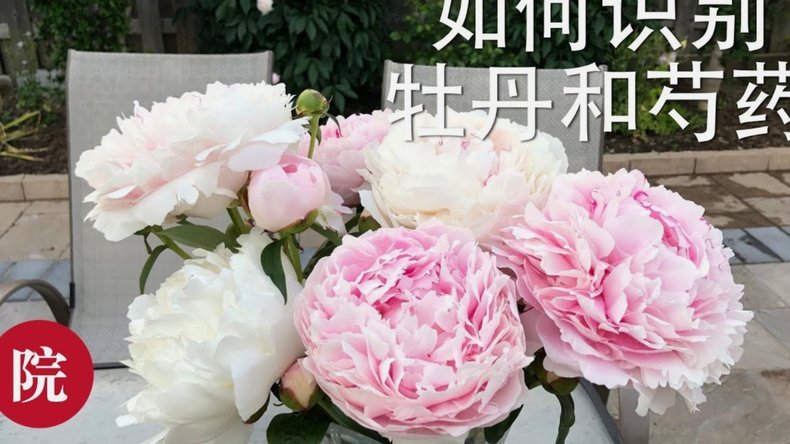 如何安全套现花呗