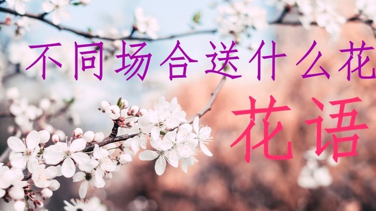 携程拿去花可以买哪些东西