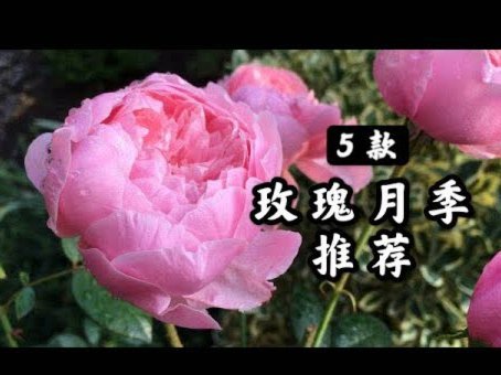 携程拿去花如何秒到账提现指南