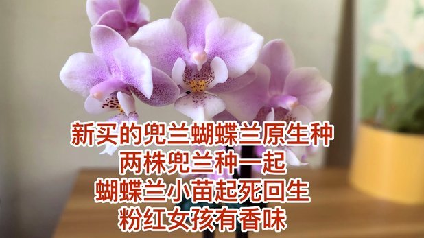 携程拿去花套现点位最新查询与风险指南