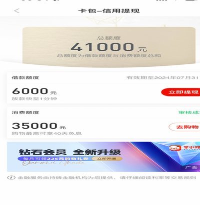 羊小咩秒批额度轻松10倍增长