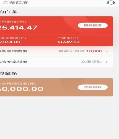 2021年白条额度怎么提？这里有你需要的技巧！