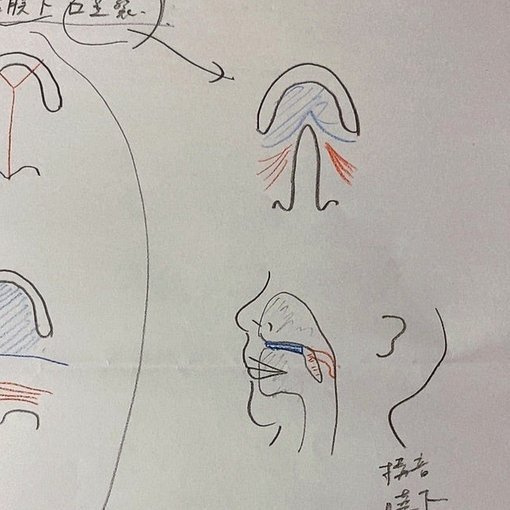 得物提现多久到账？影响因素详解