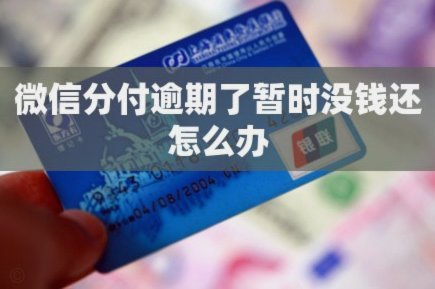 微信分付逾期怎么办