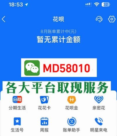 羊小咩贷款能否直接提现？深度解析其运作模式与变现风险