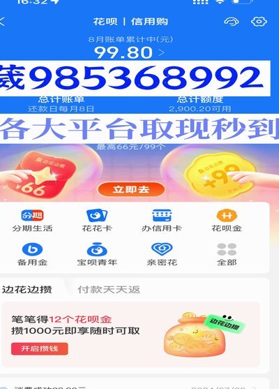 羊小咩额度怎么套出来秒到账