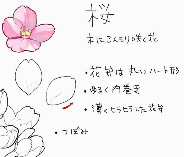 花呗逾期说明写得好的技巧