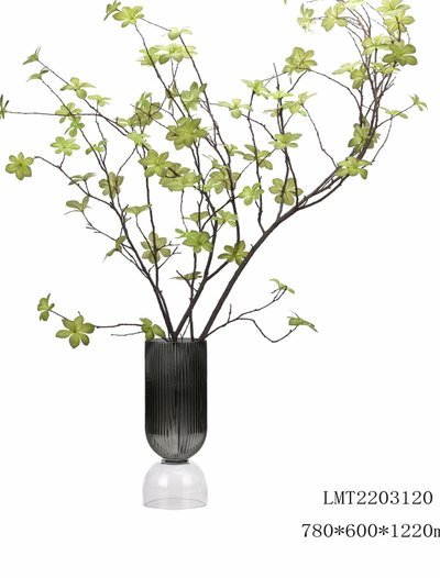 花呗套装：便捷金融新体验