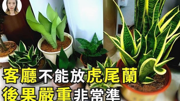 套花呗有风险吗？