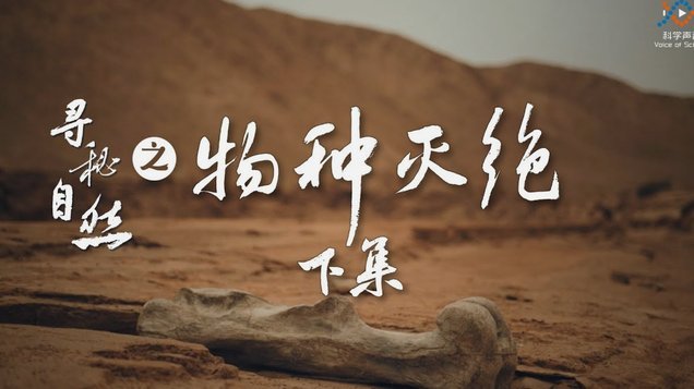 得物余额提现不出来 现金了