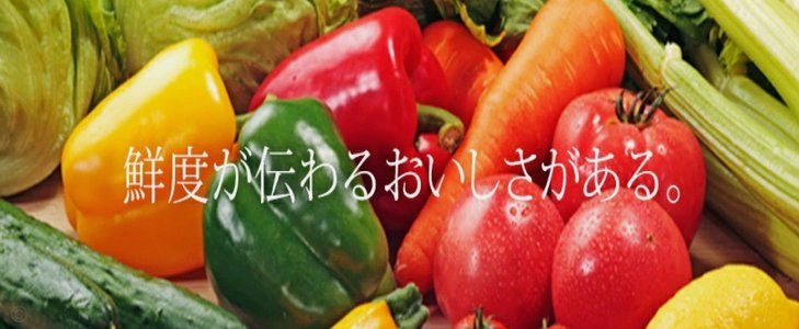 白条取现期限真相：十天并非绝对，灵活多变