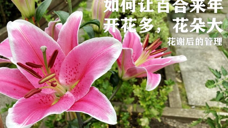 花呗如何换现