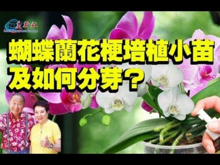 携程拿去花关闭了？原因在这里